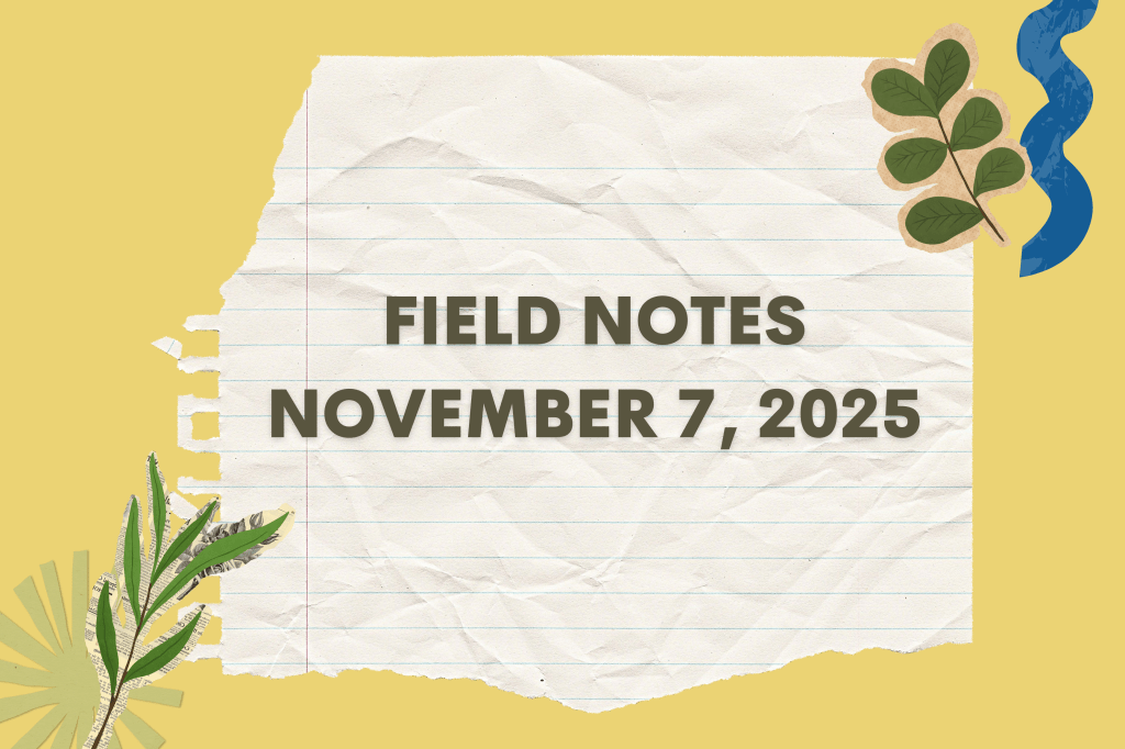 Field Notes November 7, 2025