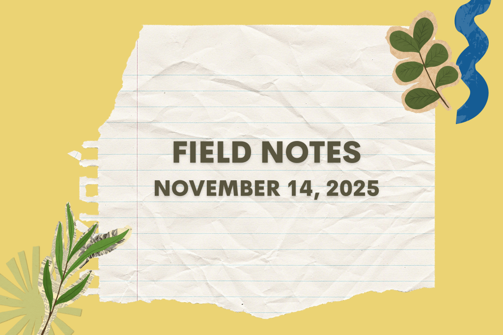 Field Notes November 14, 2025