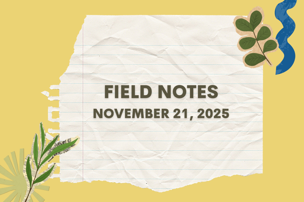Field Notes November 21, 2025