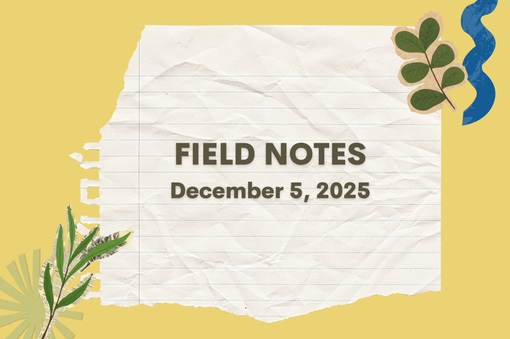 Field Notes December 6, 2025