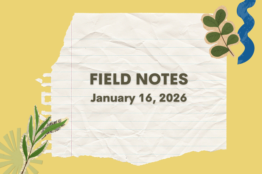 Field Notes - January 16, 2026