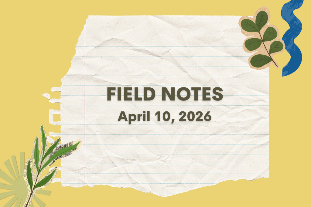 Field Notes - April 10, 2026